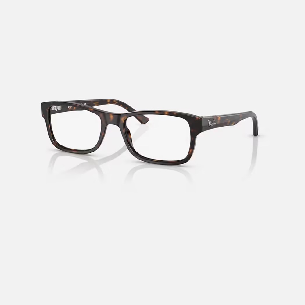 Ray-Ban Tortoise Shell Glasses